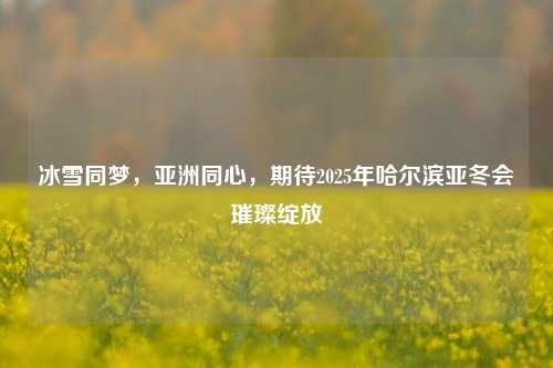 冰雪同梦,亚洲同心,期待2025年哈尔滨亚冬会璀璨绽放