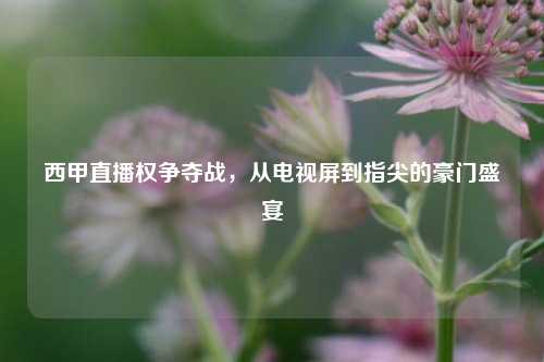 西甲直播权争夺战,从电视屏到指尖的豪门盛宴