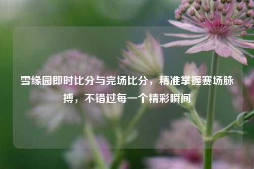雪缘园即时比分与完场比分，精准掌握赛场脉搏，不错过每一个精彩瞬间