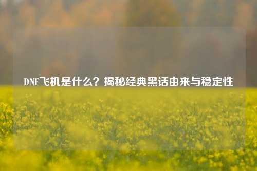 DNF飞机是什么？揭秘经典黑话由来与稳定性