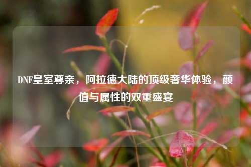 DNF皇室尊亲，阿拉德大陆的顶级奢华体验，颜值与属性的双重盛宴