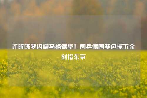 许昕陈梦闪耀马格德堡!国乒德国赛包揽五金剑指东京
