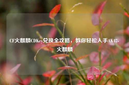 CF火麒麟CDKey兑换全攻略,教你轻松入手AK47-火麒麟