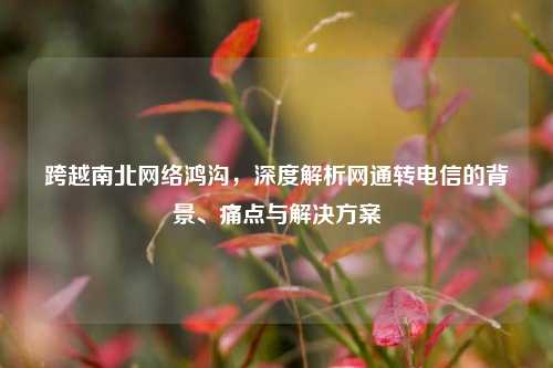 跨越南北网络鸿沟,深度解析网通转电信的背景、痛点与解决方案