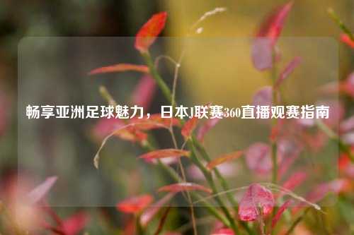 畅享亚洲足球魅力,日本J联赛360直播观赛指南