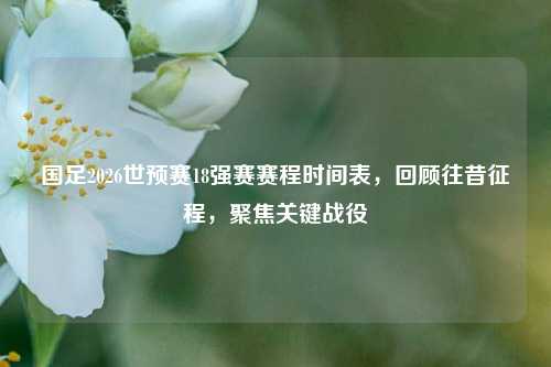 国足2026世预赛18强赛赛程时间表,回顾往昔征程,聚焦关键战役