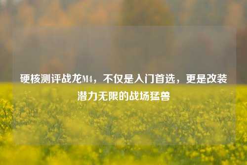 硬核测评战龙M4,不仅是入门首选,更是改装潜力无限的战场猛兽
