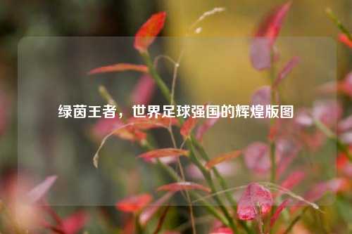 绿茵王者，世界足球强国的辉煌版图