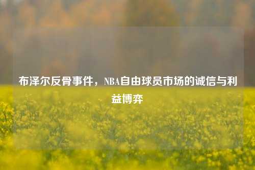 布泽尔反骨事件,NBA自由球员市场的诚信与利益博弈