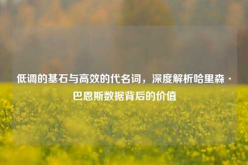 低调的基石与高效的代名词,深度解析哈里森·巴恩斯数据背后的价值