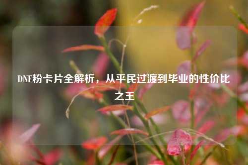 DNF粉卡片全解析，从平民过渡到毕业的性价比之王