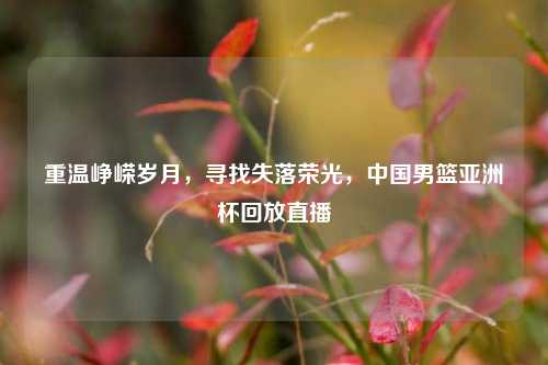 重温峥嵘岁月,寻找失落荣光,中国男篮亚洲杯回放直播