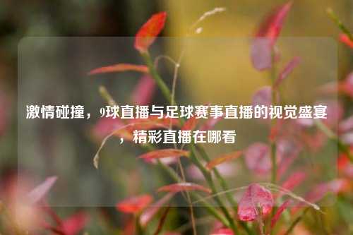 激情碰撞,9球直播与足球赛事直播的视觉盛宴,精彩直播在哪看