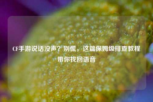 CF手游说话没声?别慌,这篇保姆级排查教程带你找回语音