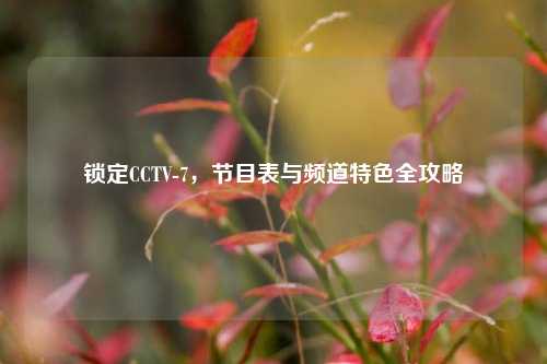 锁定CCTV-7,节目表与频道特色全攻略