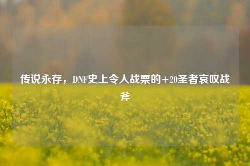传说永存，DNF史上令人战栗的+20圣者哀叹战斧