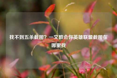 找不到五杀截图？一文教会你英雄联盟截图在哪里找