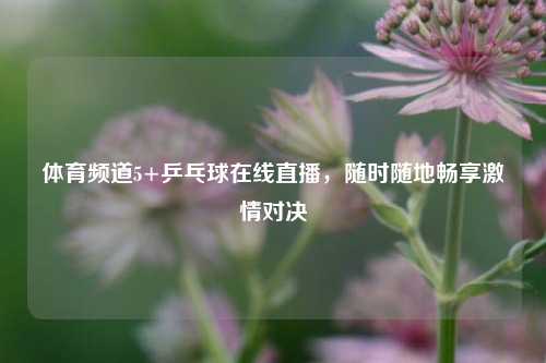 体育频道5+乒乓球在线直播,随时随地畅享激情对决