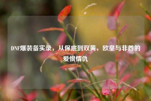 DNF爆装备实录，从保底到双黄，欧皇与非酋的爱恨情仇
