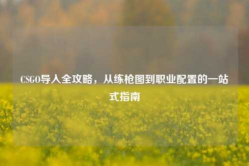 CSGO导入全攻略,从练枪图到职业配置的一站式指南