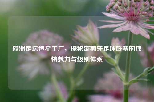 欧洲足坛造星工厂,探秘葡萄牙足球联赛的独特魅力与级别体系