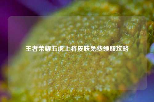 王者荣耀五虎上将皮肤免费领取攻略