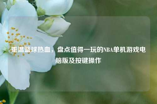 重温篮球热血,盘点值得一玩的NBA单机游戏电脑版及按键操作