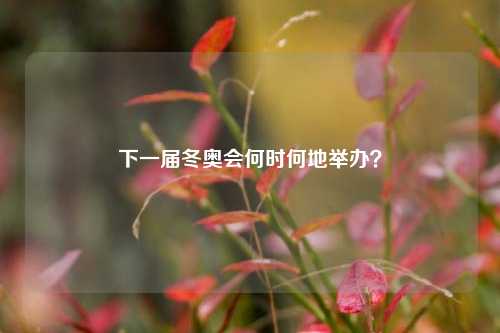 下一届冬奥会何时何地举办?