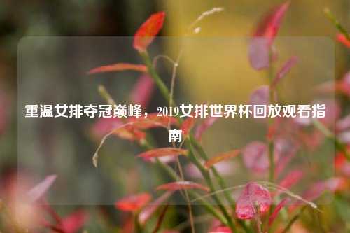 重温女排夺冠巅峰,2019女排世界杯回放观看指南