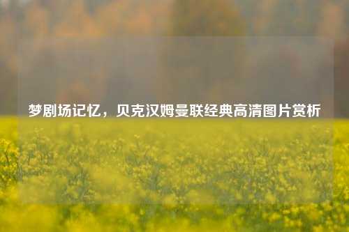 梦剧场记忆,贝克汉姆曼联经典高清图片赏析