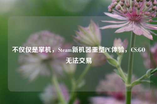 不仅仅是掌机,Steam新机器重塑PC体验,CS:GO无法交易