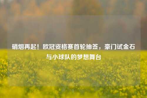 硝烟再起!欧冠资格赛首轮抽签,豪门试金石与小球队的梦想舞台