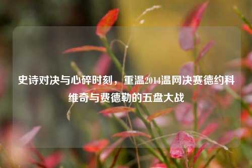 史诗对决与心碎时刻,重温2014温网决赛德约科维奇与费德勒的五盘大战