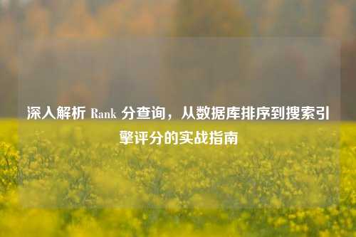 深入解析 Rank 分查询,从数据库排序到搜索引擎评分的实战指南