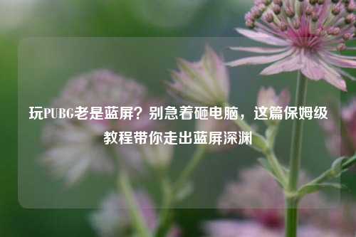 玩PUBG老是蓝屏？别急着砸电脑，这篇保姆级教程带你走出蓝屏深渊