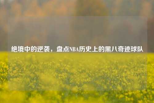 绝境中的逆袭,盘点NBA历史上的黑八奇迹球队