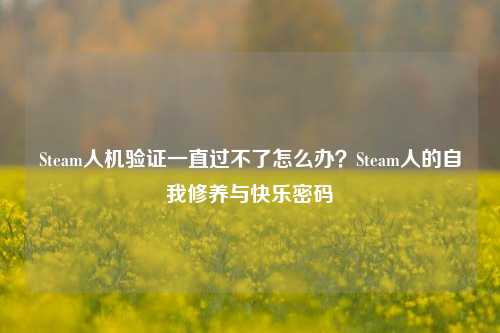 Steam人机验证一直过不了怎么办?Steam人的自我修养与快乐密码