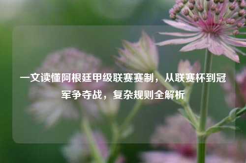 一文读懂阿根廷甲级联赛赛制,从联赛杯到冠军争夺战,复杂规则全解析