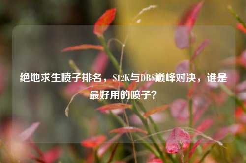 绝地求生喷子排名，S12K与DBS巅峰对决，谁是最好用的喷子？