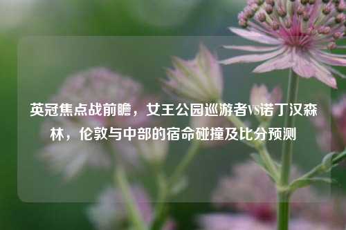 英冠焦点战前瞻，女王公园巡游者VS诺丁汉森林，伦敦与中部的宿命碰撞及比分预测