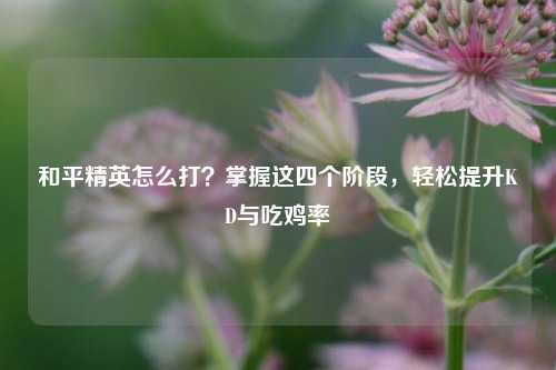和平精英怎么打？掌握这四个阶段，轻松提升KD与吃鸡率
