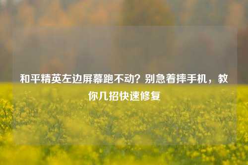 和平精英左边屏幕跑不动？别急着摔手机，教你几招快速修复