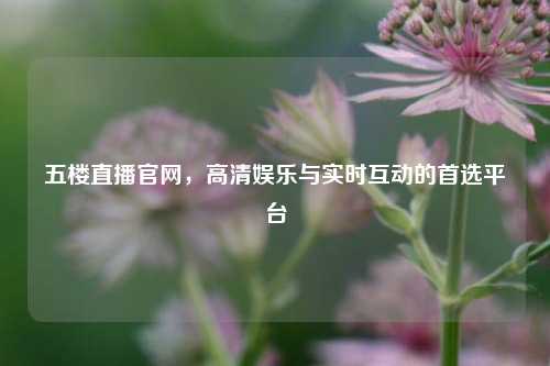 五楼直播官网,高清娱乐与实时互动的首选平台