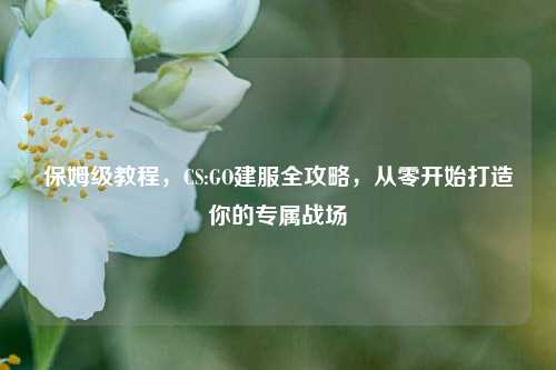 保姆级教程，CS:GO建服全攻略，从零开始打造你的专属战场
