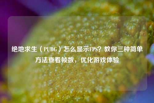 绝地求生（PUBG）怎么显示FPS？教你三种简单方法查看帧数，优化游戏体验