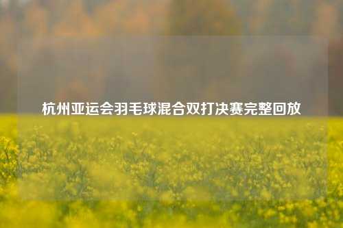 杭州亚运会羽毛球混合双打决赛完整回放