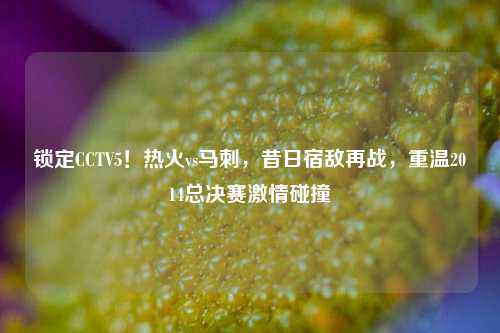 锁定CCTV5!热火vs马刺,昔日宿敌再战,重温2014总决赛激情碰撞