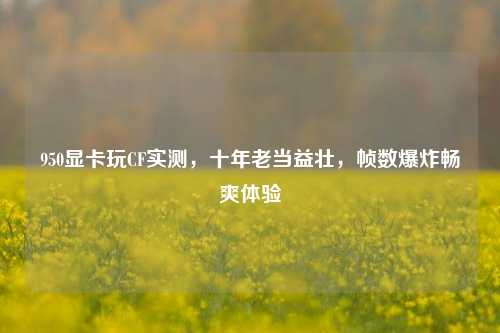 950显卡玩CF实测，十年老当益壮，帧数爆炸畅爽体验