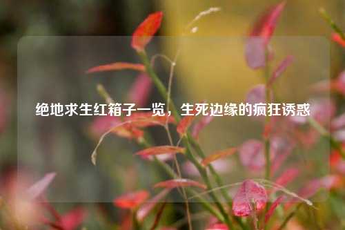 绝地求生红箱子一览,生死边缘的疯狂诱惑