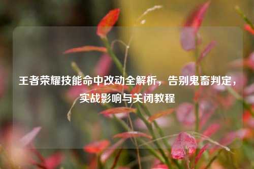 王者荣耀技能命中改动全解析，告别鬼畜判定，实战影响与关闭教程